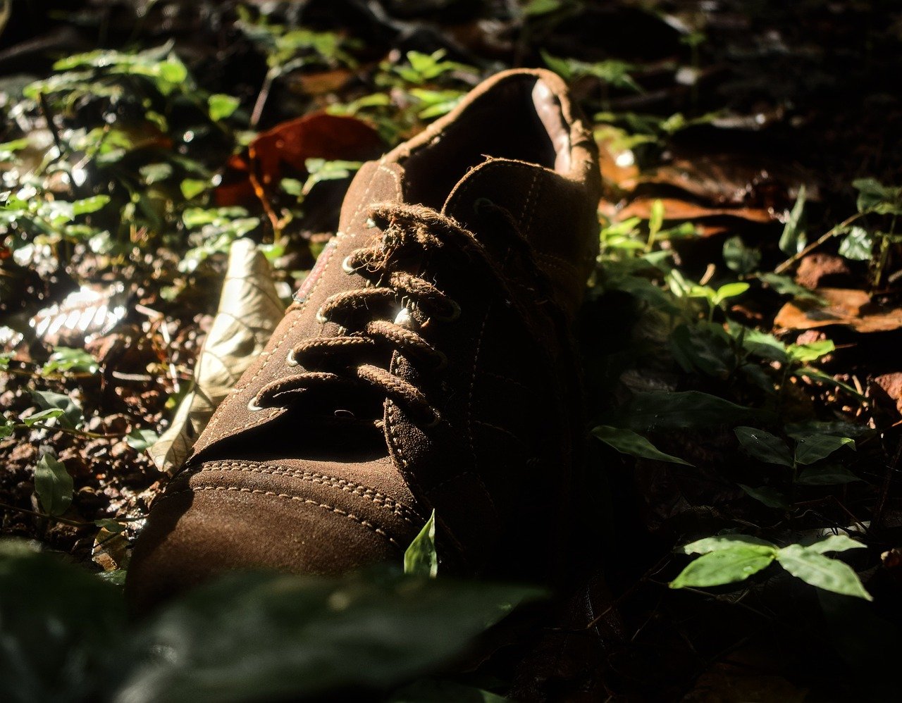 shoe, footwear, abandoned shoe-7108042.jpg